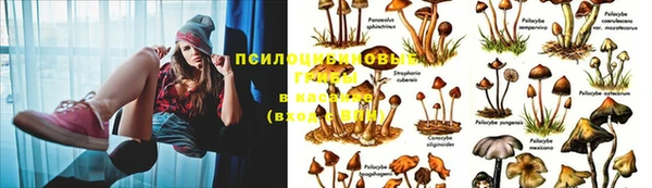 гидропоника Балахна